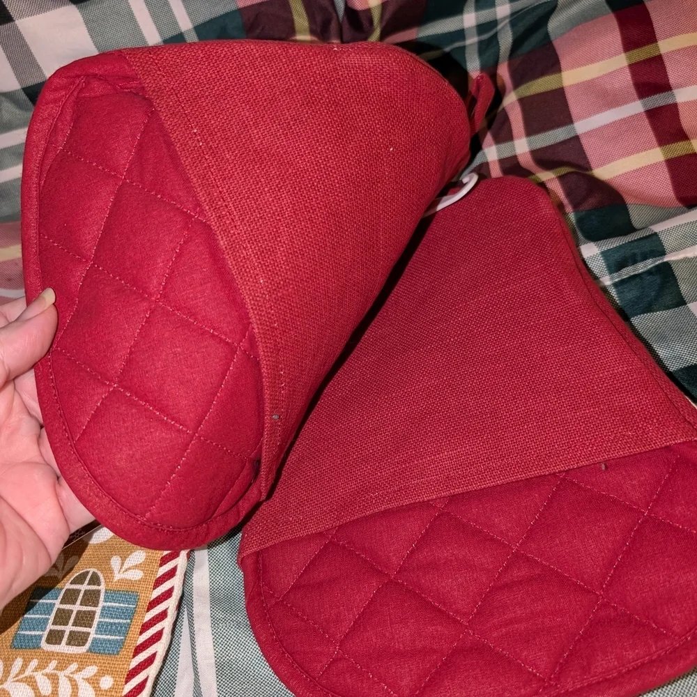 Santa Claus Oven Mitt